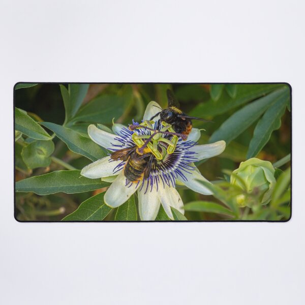 Item preview, Passionate Bees designed and sold by Julie Navitka.