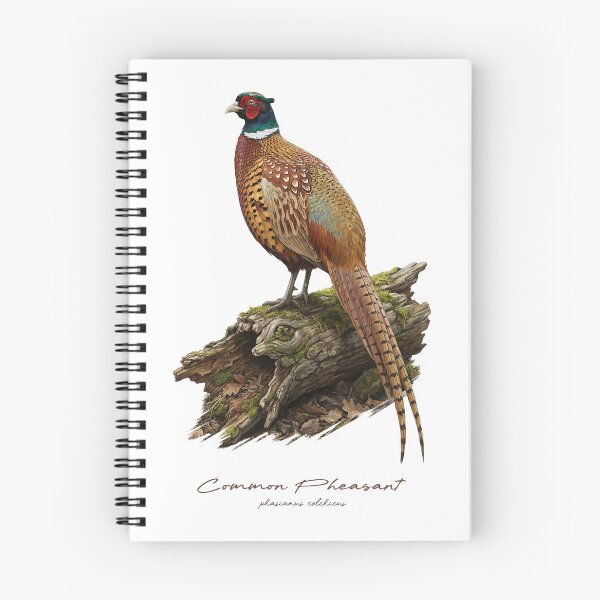 Item preview, Common Pheasant on Mossy Wooden Log Bird Illustration designed and sold by Takeda-art.