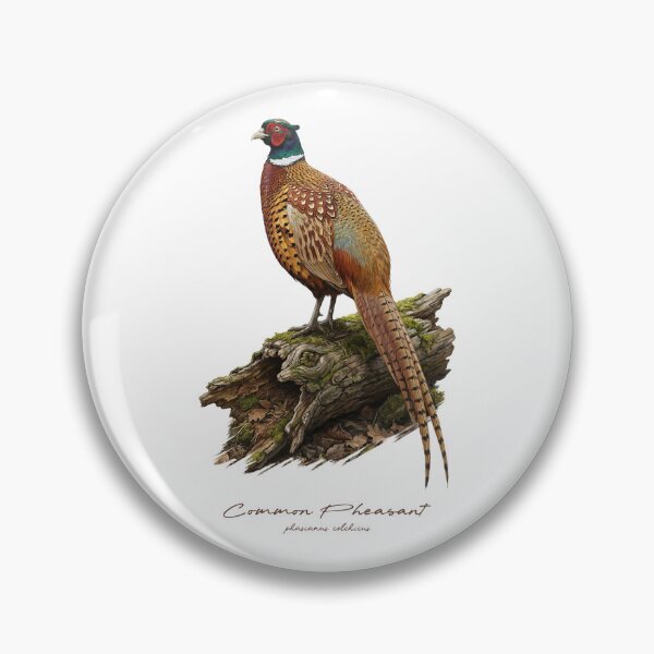 Item preview, Common Pheasant on Mossy Wooden Log Bird Illustration designed and sold by Takeda-art.