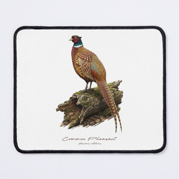 Item preview, Common Pheasant on Mossy Wooden Log Bird Illustration designed and sold by Takeda-art.