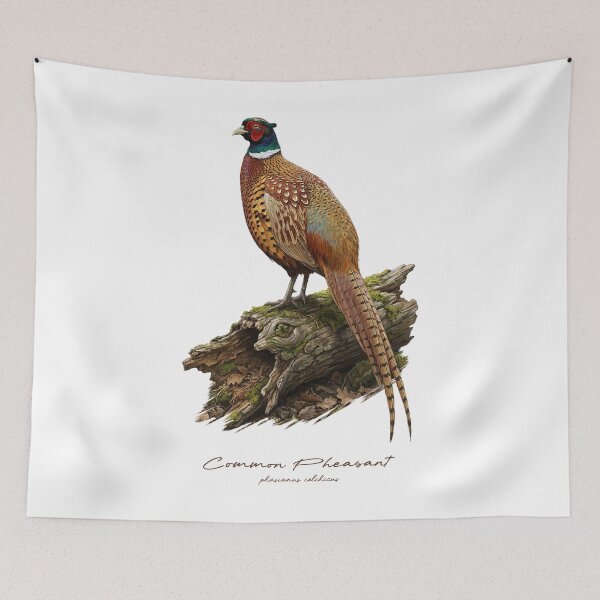 Item preview, Common Pheasant on Mossy Wooden Log Bird Illustration designed and sold by Takeda-art.