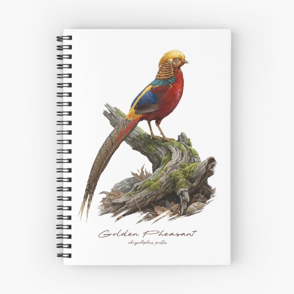 Item preview, Golden Pheasant on Tree Stump Bird Illustration designed and sold by Takeda-art.
