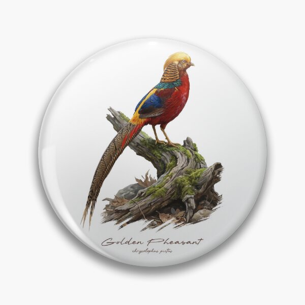Item preview, Golden Pheasant on Tree Stump Bird Illustration designed and sold by Takeda-art.