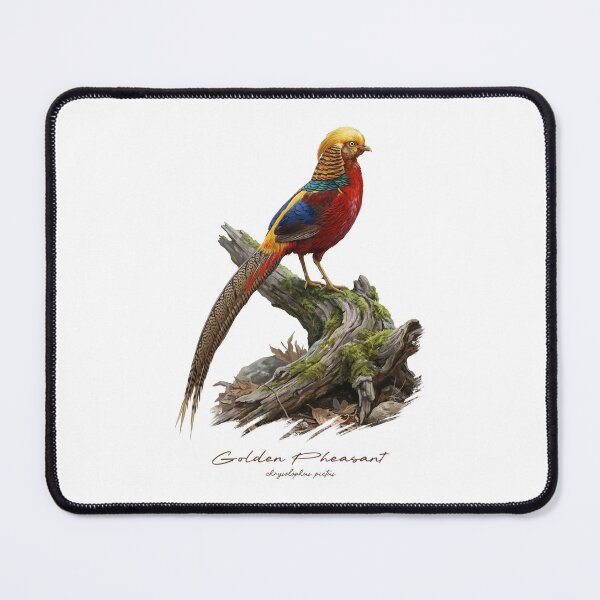 Item preview, Golden Pheasant on Tree Stump Bird Illustration designed and sold by Takeda-art.