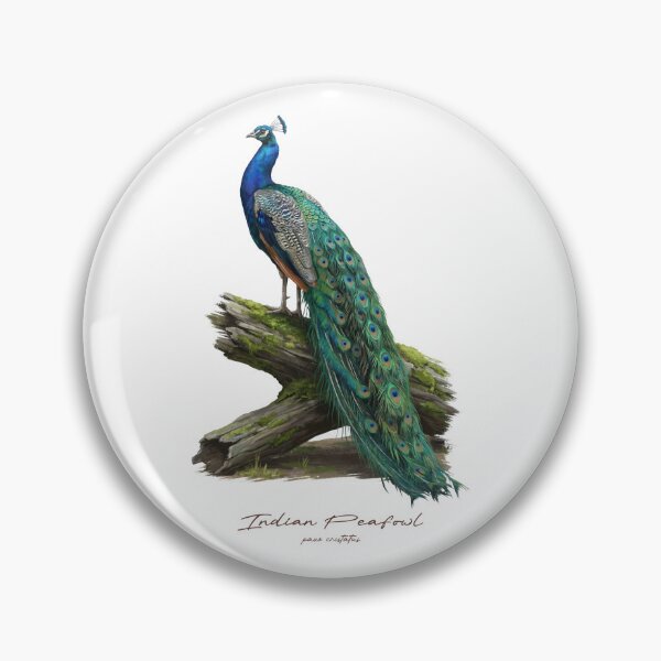 Item preview, Indian Peafowl on Mossy Wood Log Bird Illustration designed and sold by Takeda-art.