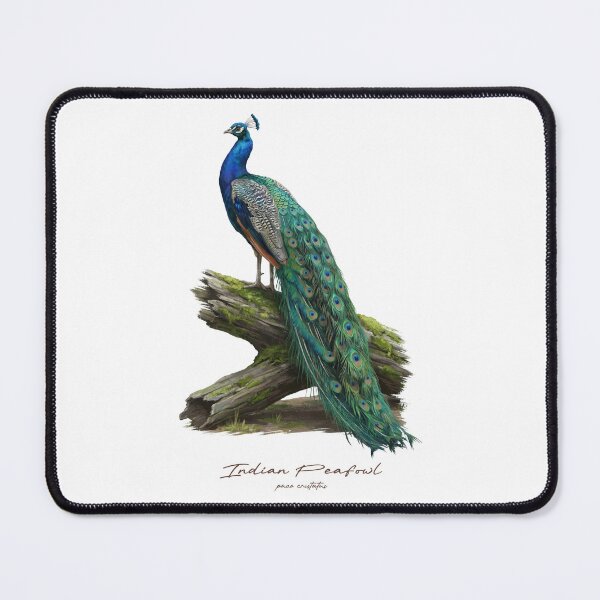 Item preview, Indian Peafowl on Mossy Wood Log Bird Illustration designed and sold by Takeda-art.
