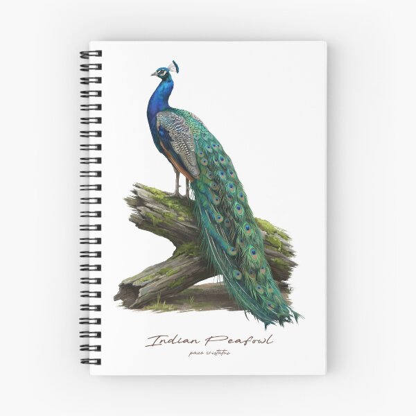 Item preview, Indian Peafowl on Mossy Wood Log Bird Illustration designed and sold by Takeda-art.