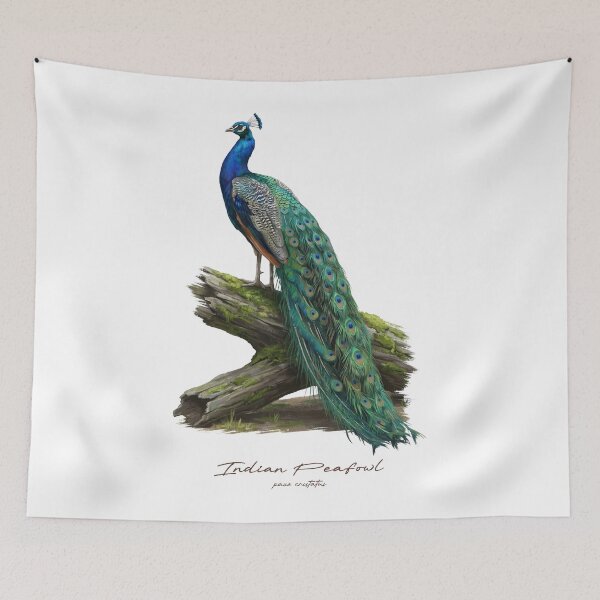 Item preview, Indian Peafowl on Mossy Wood Log Bird Illustration designed and sold by Takeda-art.