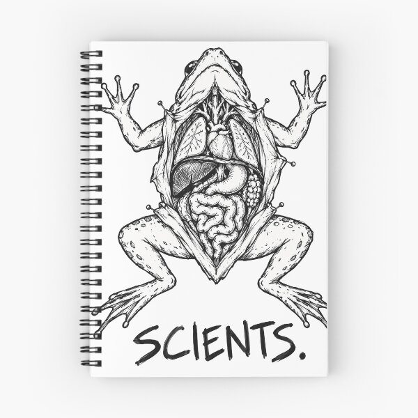 Item preview, Dissected Frog SCIENTS Anatomy Drawing designed and sold by TrashCultSupply.