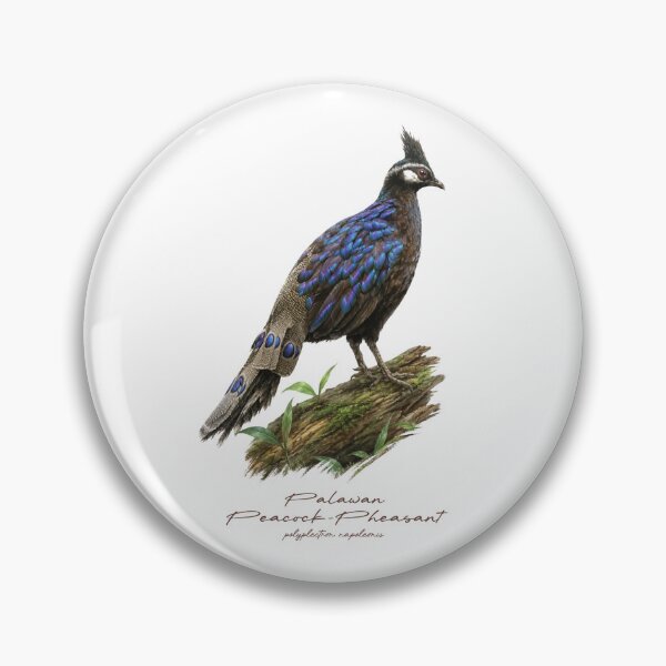 Item preview, Palawan Peacock-Pheasant on Mossy Log Bird Illustration designed and sold by Takeda-art.