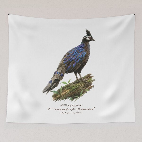Item preview, Palawan Peacock-Pheasant on Mossy Log Bird Illustration designed and sold by Takeda-art.