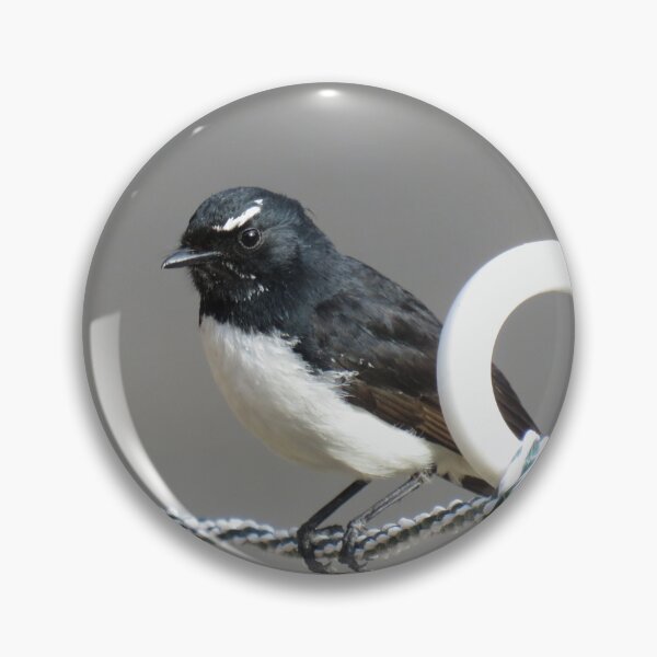 Item preview, Willie wagtail closeup designed and sold by greentiger1.
