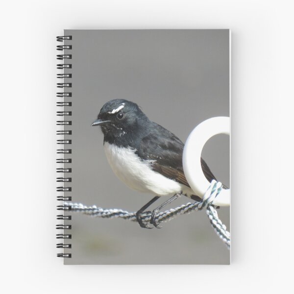 Item preview, Willie wagtail closeup designed and sold by greentiger1.