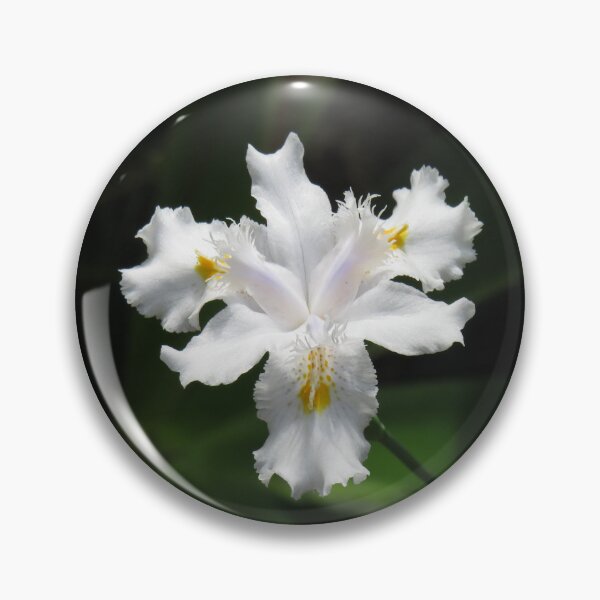 Item preview, Little white iris designed and sold by greentiger1.