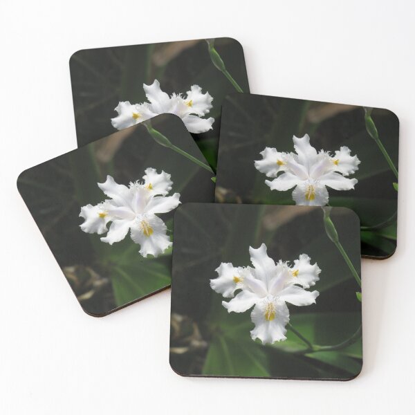 Item preview, Little white iris designed and sold by greentiger1.