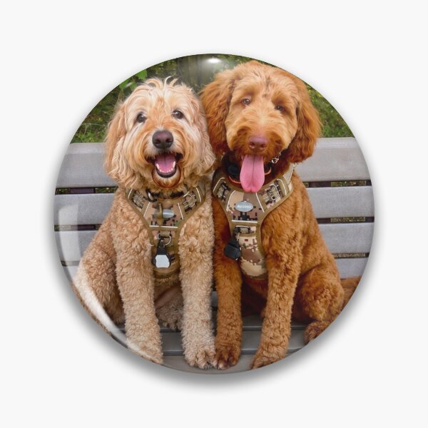 Item preview, Todd&Tanner designed and sold by VuRoom featuring Todd™ & Hank™.