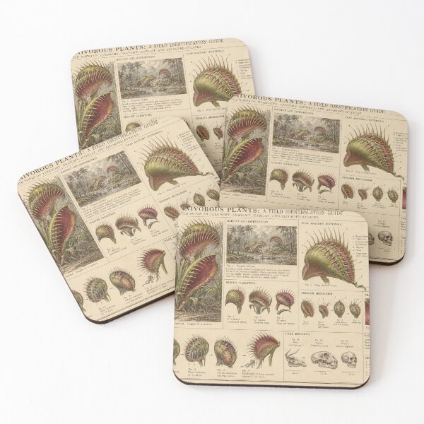 Item preview, Gigantic Carnivorous Plants | Victorian Field Identification Guide designed and sold by TheWaningGlass.