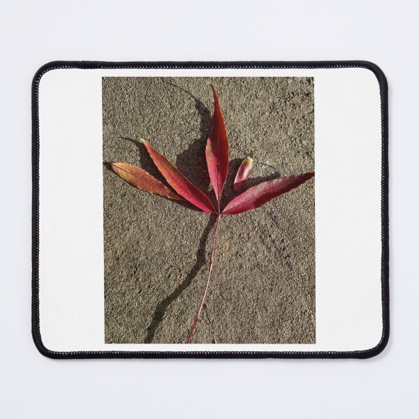 Item preview, Pretty Autumn leaves designed and sold by Unique Vania.