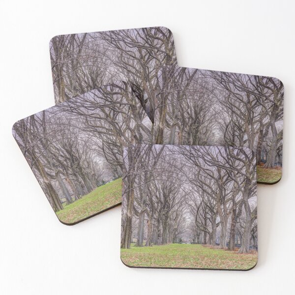 Item preview, Tree-lined Paths designed and sold by assaf.
