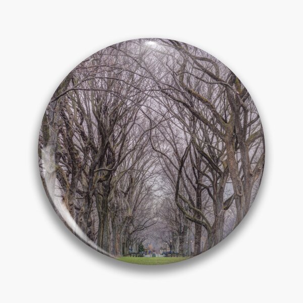 Item preview, Tree-lined Paths designed and sold by assaf.