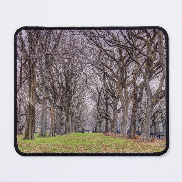 Item preview, Tree-lined Paths designed and sold by assaf.