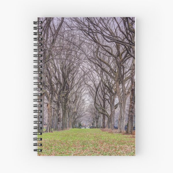 Item preview, Tree-lined Paths designed and sold by assaf.