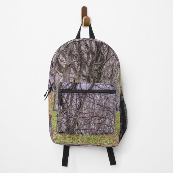 Item preview, Tree-lined Paths designed and sold by assaf.
