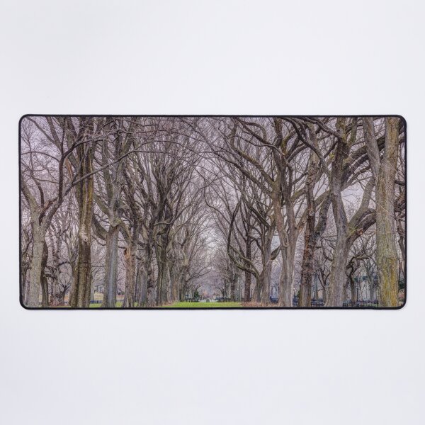 Item preview, Tree-lined Paths designed and sold by assaf.