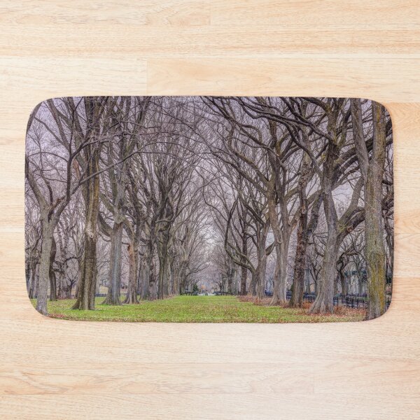 Item preview, Tree-lined Paths designed and sold by assaf.