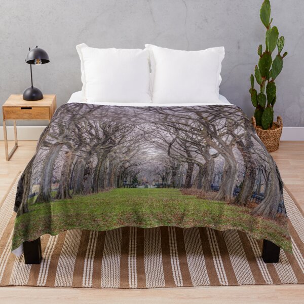 Item preview, Tree-lined Paths designed and sold by assaf.