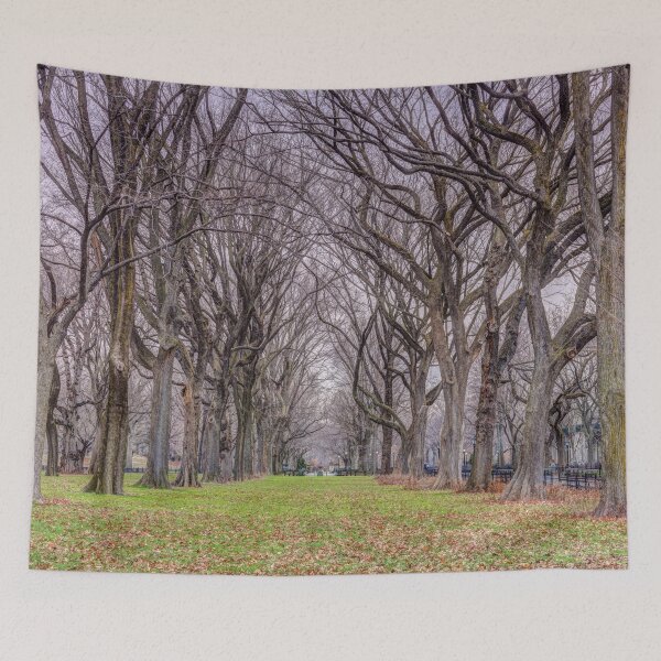 Item preview, Tree-lined Paths designed and sold by assaf.