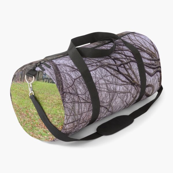 Item preview, Tree-lined Paths designed and sold by assaf.