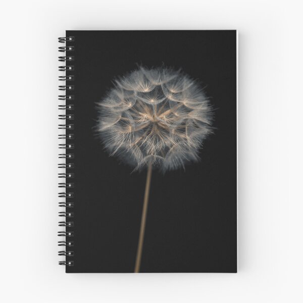 Item preview, Dandelion flower over black background designed and sold by assaf.