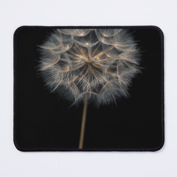 Item preview, Dandelion flower over black background designed and sold by assaf.