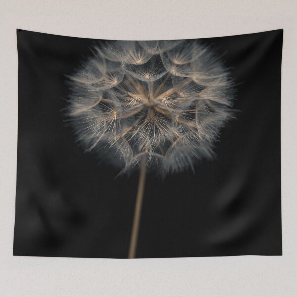 Item preview, Dandelion flower over black background designed and sold by assaf.