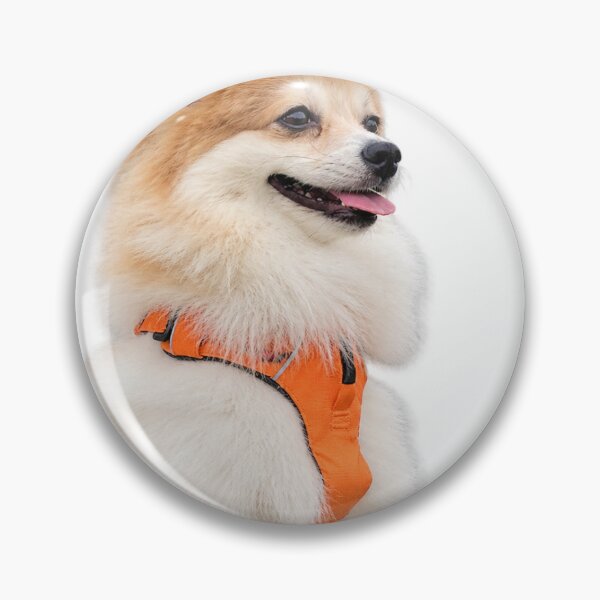 Item preview, A dignified Pomeranian designed and sold by edisonnn.