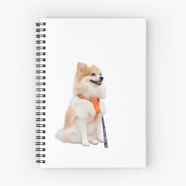 Item preview, A dignified Pomeranian designed and sold by edisonnn.