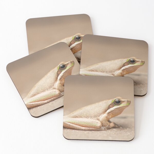 Item preview, Eastern Dwarf Tree Frog designed and sold by robdanimalphotography.