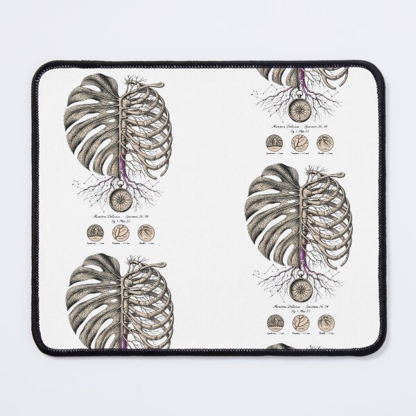 Item preview, Monstera Anatomy Ribcage Constellation Specimen designed and sold by Aisha Reda.
