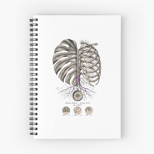 Item preview, Monstera Anatomy Ribcage Constellation Specimen designed and sold by Aisha Reda.