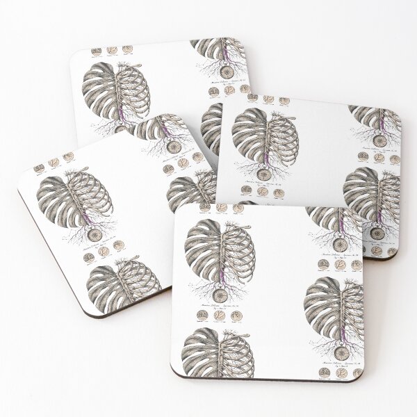 Item preview, Monstera Anatomy Ribcage Constellation Specimen designed and sold by Aisha Reda.