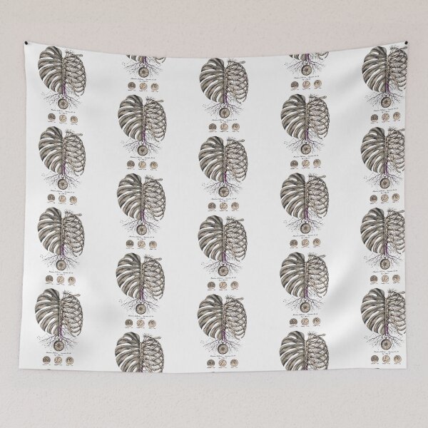Item preview, Monstera Anatomy Ribcage Constellation Specimen designed and sold by Aisha Reda.