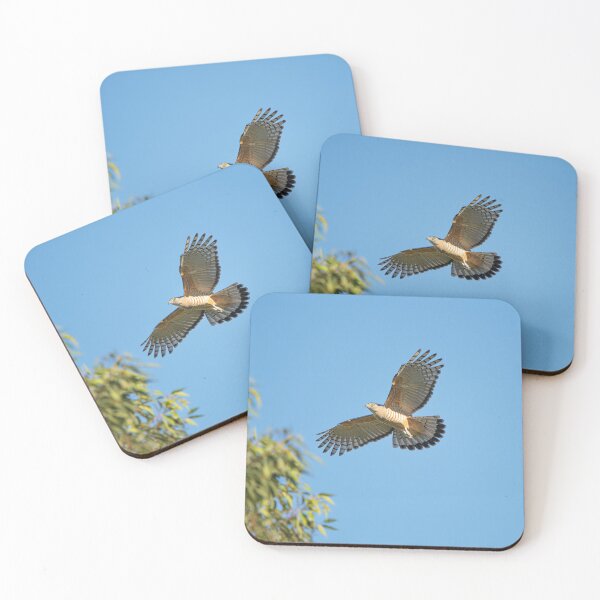 Item preview, Crested Hawk designed and sold by robdanimalphotography.