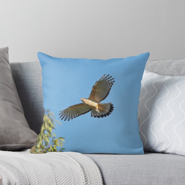 Item preview, Crested Hawk designed and sold by robdanimalphotography.