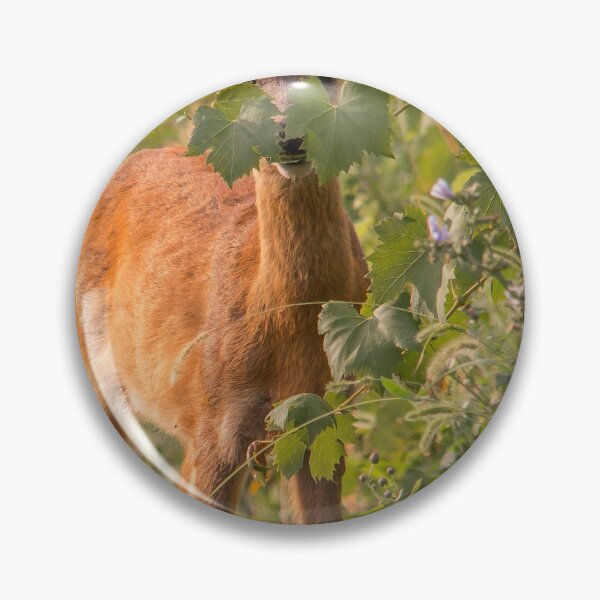Item preview, Roe Deer Hiding in the Vineyard designed and sold by gabormedve.