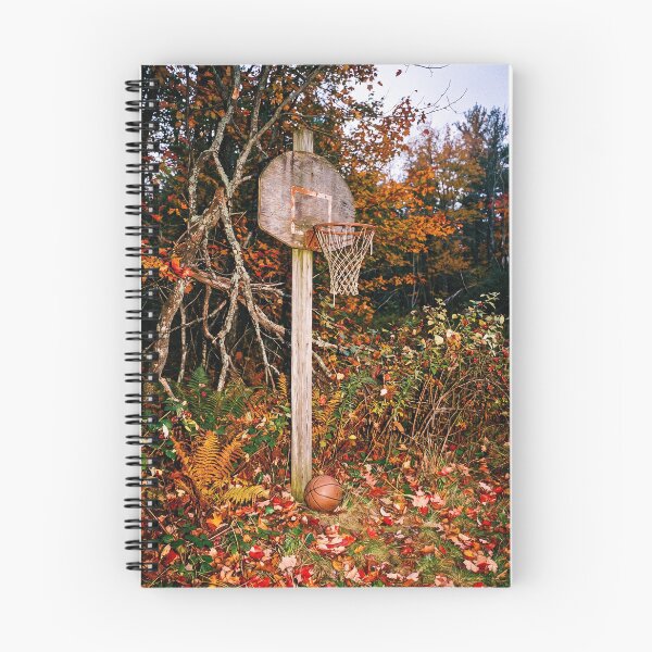 Item preview, Autumn Forest Basketball Hoop Vector Illustration Fan Art designed and sold by InGame Basketball.