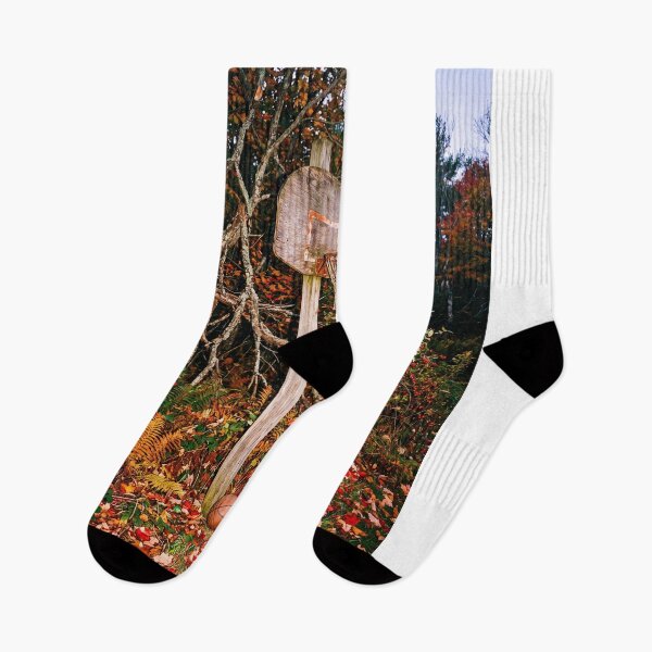 Item preview, Autumn Forest Basketball Hoop Vector Illustration Fan Art designed and sold by InGame Basketball.