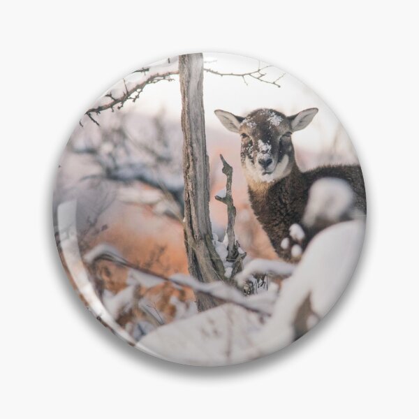 Item preview, Young Mouflon in the Snowy Forest designed and sold by gabormedve.