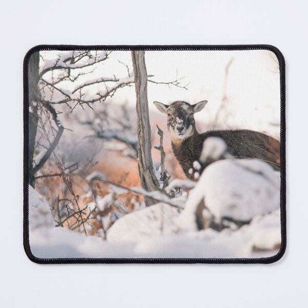 Item preview, Young Mouflon in the Snowy Forest designed and sold by gabormedve.