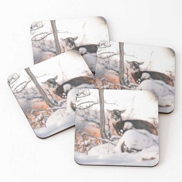 Item preview, Young Mouflon in the Snowy Forest designed and sold by Medve Photography & Design.
